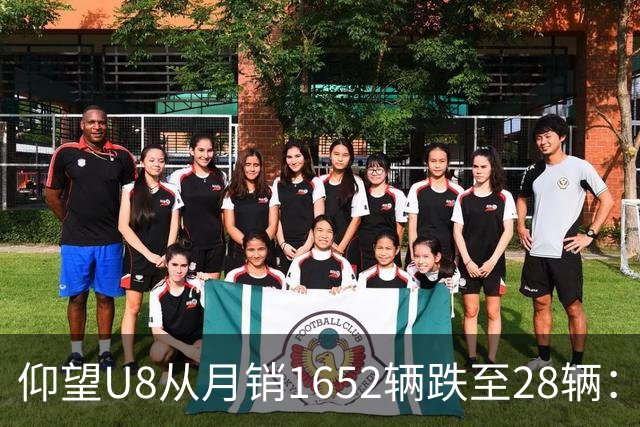 仰望U8从月销1652辆跌至28辆：技术堆满为何换不来百万市场？