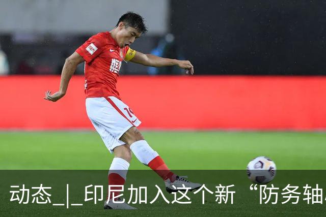 动态 | 印尼加入这个新“防务轴心”，印度深感恐慌！