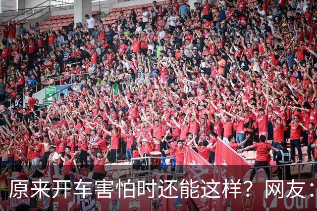 原来开车害怕时还能这样？网友：跟着一辆车只管开