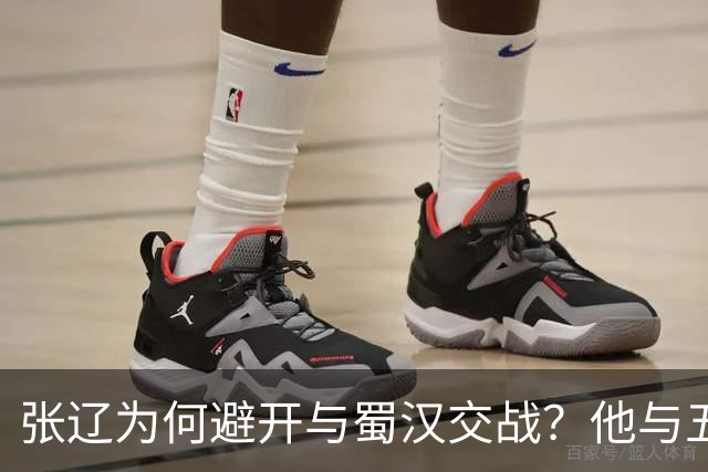 张辽为何避开与蜀汉交战？他与五虎大将单挑，能赢几人？