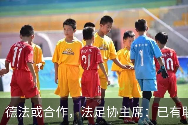德法或合作，法足协主席：已有联合申办2038年世界杯的想法