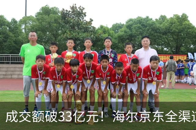 成交额破33亿元！海尔京东全渠道超级品牌日交出亮眼成绩单