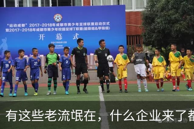 有这些老流氓在，什么企业来了都会“水土不服”...
