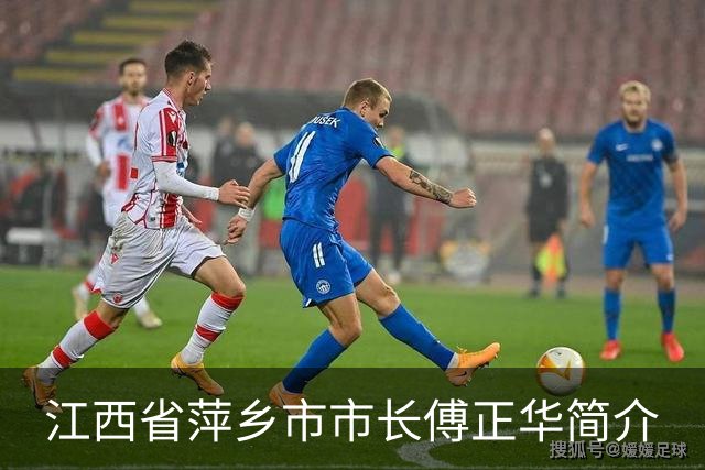 江西省萍乡市市长傅正华简介