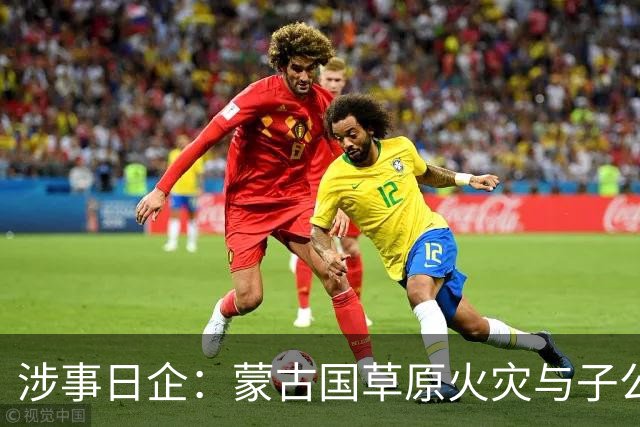 涉事日企：蒙古国草原火灾与子公司高管活动有关