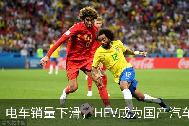 电车销量下滑，HEV成为国产汽车增长发动机，继续挑战丰田