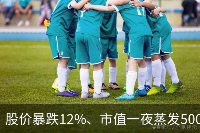股价暴跌12%、市值一夜蒸发5000亿美元！谷歌重夺大模型第一，华尔街为何不买账？