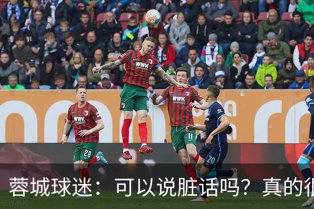 蓉城球迷：可以说脏话吗？真的很丢脸，主教练必须下课