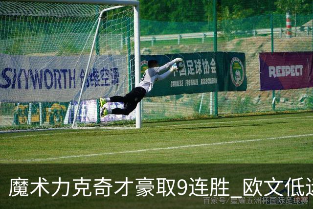 魔术力克奇才豪取9连胜 欧文低迷独行侠负灰熊