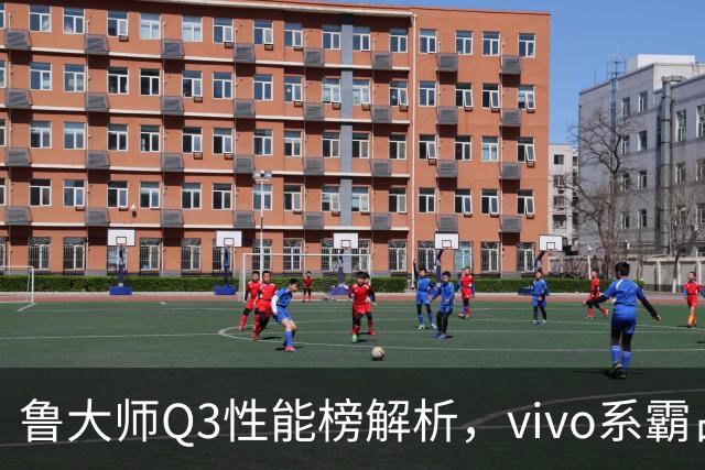 鲁大师Q3性能榜解析，vivo系霸占前三