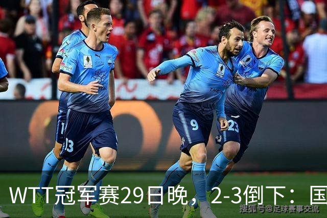WTT冠军赛29日晚，2-3倒下：国乒第2败！首输外战，国乒3人进男单16强